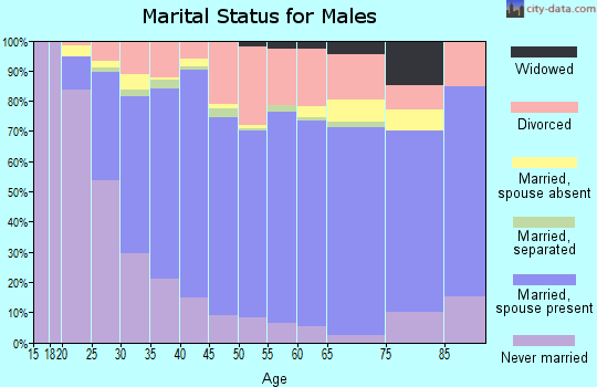 Zip code 99654 marital status for males