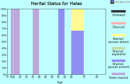 Zip code 99656 marital status for males