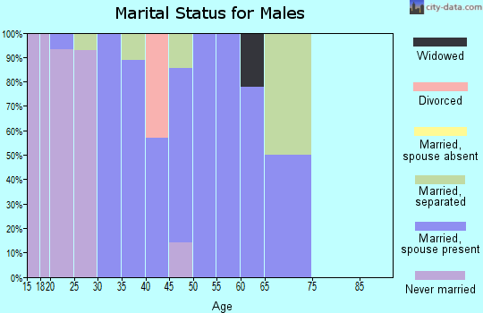 Zip code 99657 marital status for males