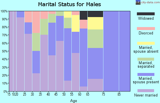 Zip code 99658 marital status for males
