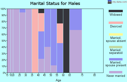 Zip code 99659 marital status for males
