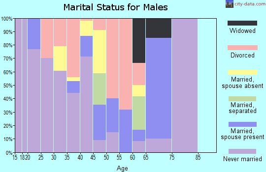 Zip code 99660 marital status for males