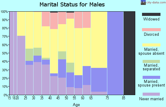Zip code 99661 marital status for males