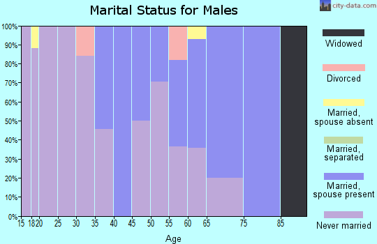 Zip code 99662 marital status for males