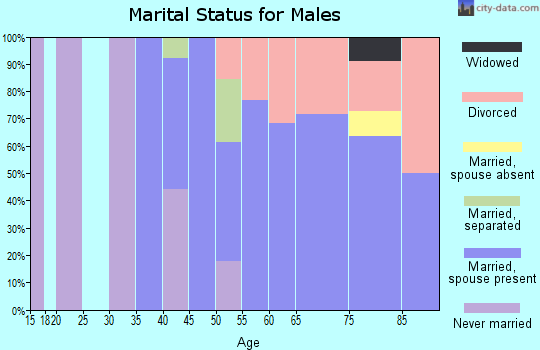Zip code 99663 marital status for males