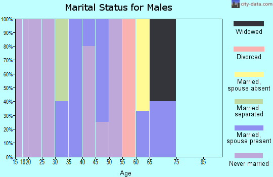 Zip code 99666 marital status for males