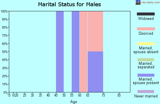 Zip code 99667 marital status for males