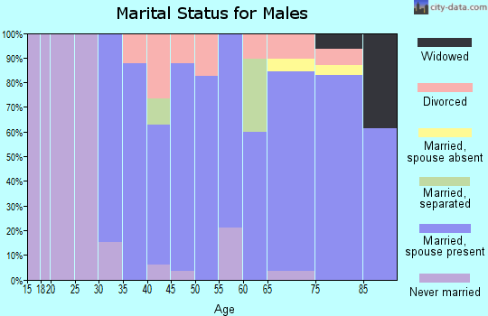 Zip code 99672 marital status for males