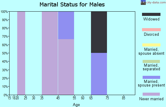 Zip code 99675 marital status for males