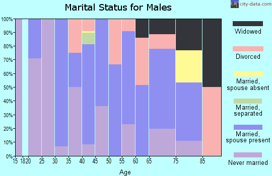 Zip code 99676 marital status for males
