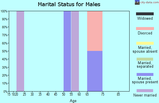Zip code 99677 marital status for males