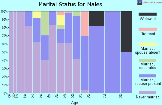 Zip code 99678 marital status for males