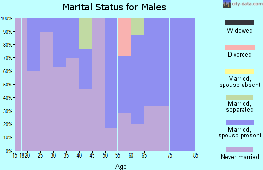 Zip code 99679 marital status for males