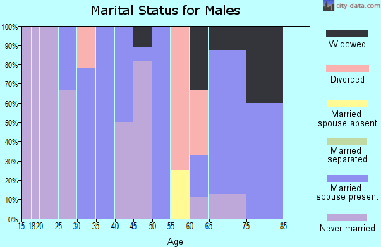 Zip code 99680 marital status for males