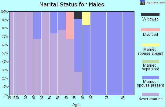 Zip code 99681 marital status for males