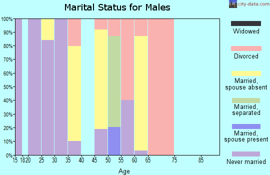Zip code 99682 marital status for males