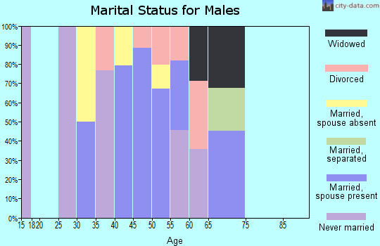 Zip code 99683 marital status for males