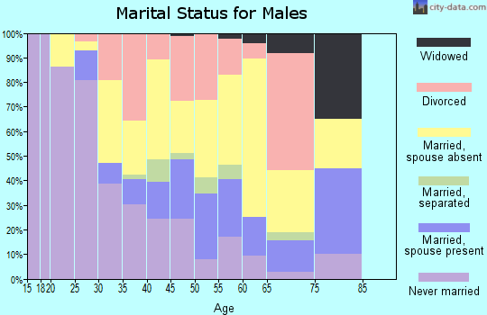 Zip code 99685 marital status for males