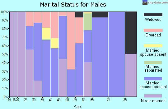 Zip code 99686 marital status for males