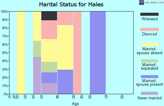 Zip code 99687 marital status for males