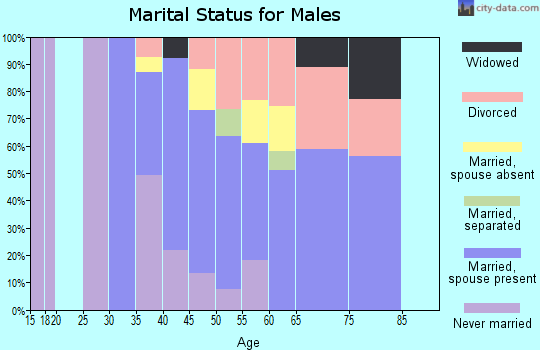 Zip code 99688 marital status for males