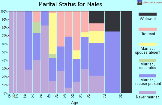 Zip code 99689 marital status for males