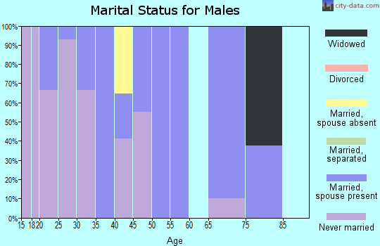 Zip code 99690 marital status for males