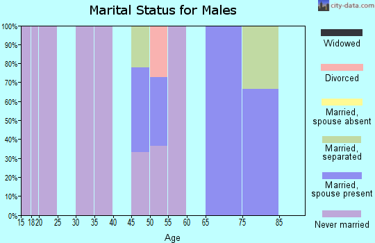 Zip code 99691 marital status for males