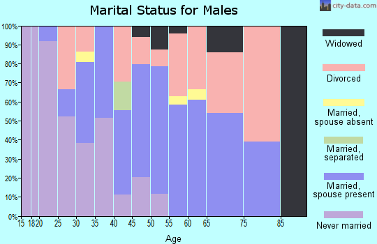 Zip code 99694 marital status for males
