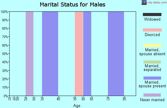 Zip code 99695 marital status for males