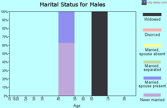 Zip code 99697 marital status for males