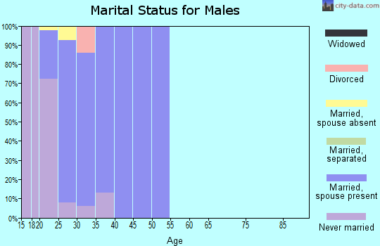 Zip code 99702 marital status for males