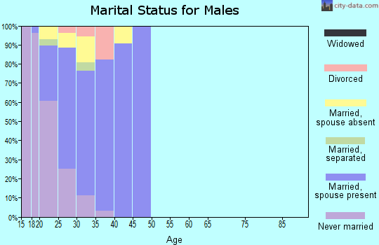 Zip code 99703 marital status for males