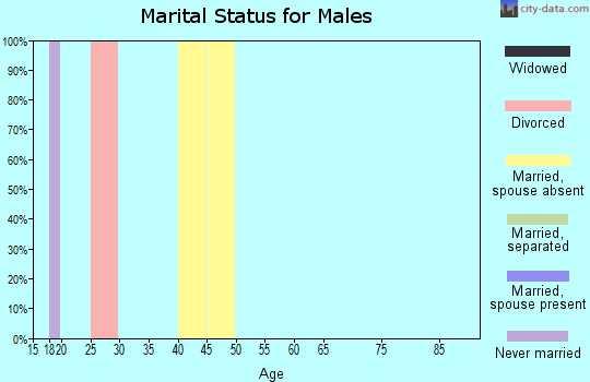 Zip code 99704 marital status for males