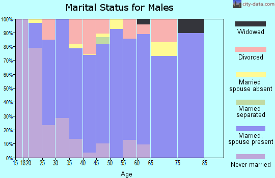 Zip code 99712 marital status for males