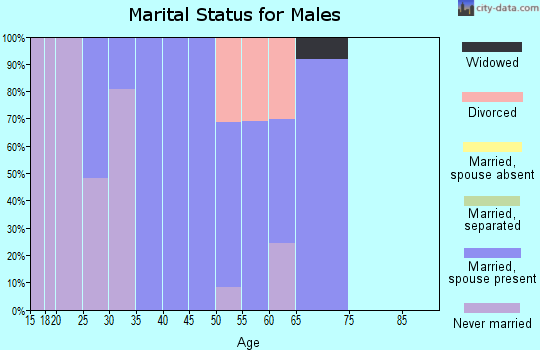 Zip code 99714 marital status for males