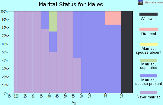 Zip code 99720 marital status for males