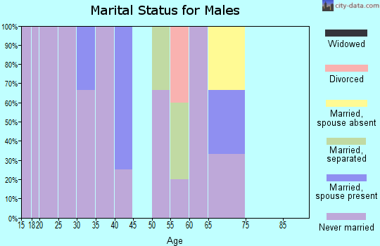 Zip code 99722 marital status for males