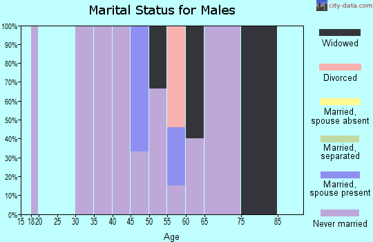 Zip code 99724 marital status for males