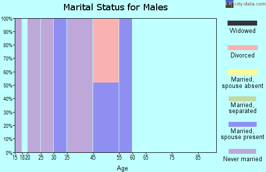 Zip code 99725 marital status for males