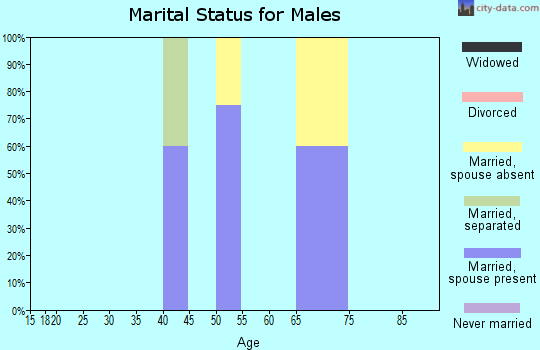 Zip code 99726 marital status for males