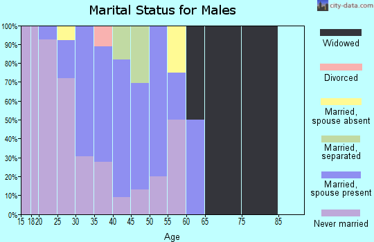 Zip code 99727 marital status for males