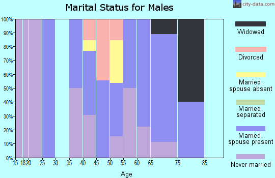 Zip code 99729 marital status for males