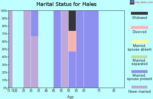 Zip code 99730 marital status for males