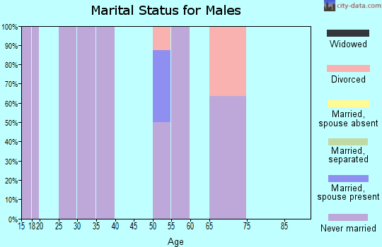 Zip code 99733 marital status for males