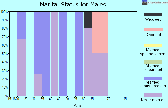 Zip code 99736 marital status for males