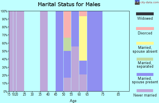 Zip code 99738 marital status for males