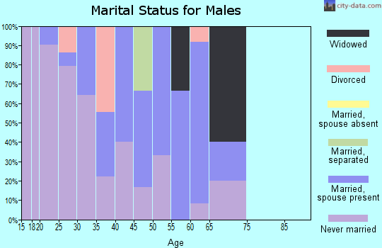 Zip code 99739 marital status for males