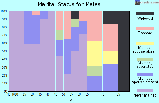 Zip code 99740 marital status for males