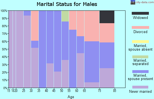Zip code 99741 marital status for males